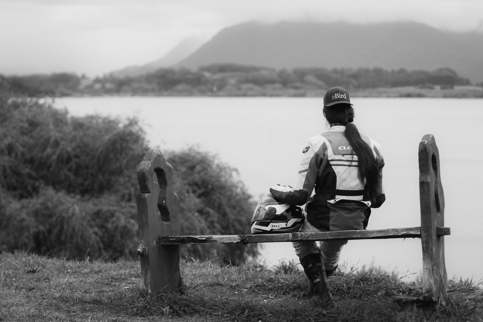 Araucanía andina — Visita fugaz
