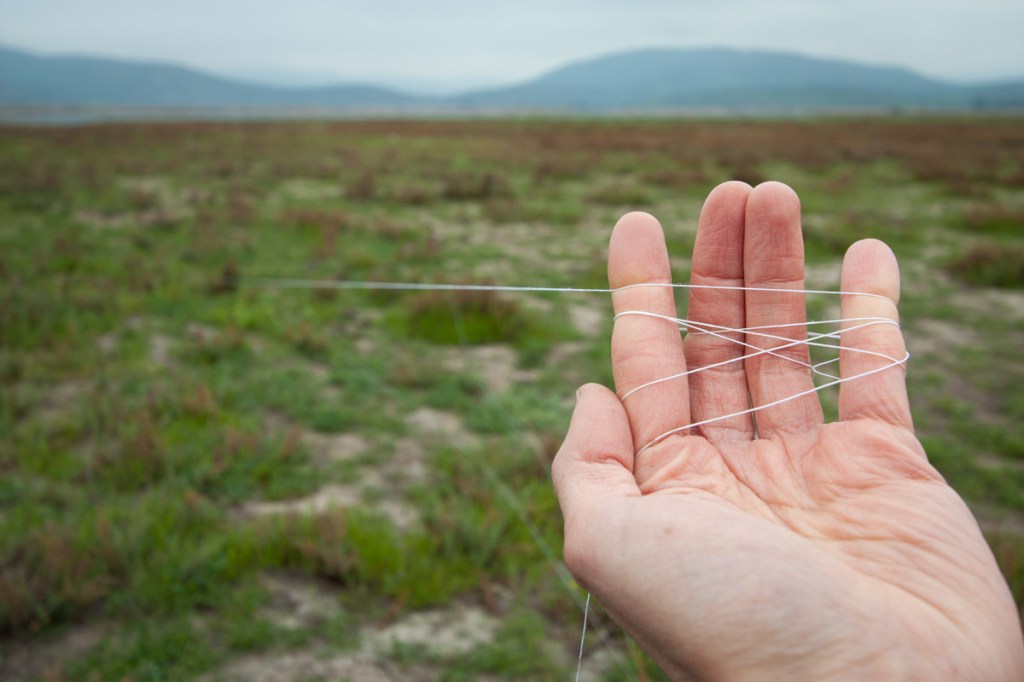 Enemigo mortal: hilo&nbsp;curado