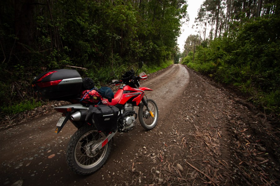 Honda XR250 Tornado en camino forestal.