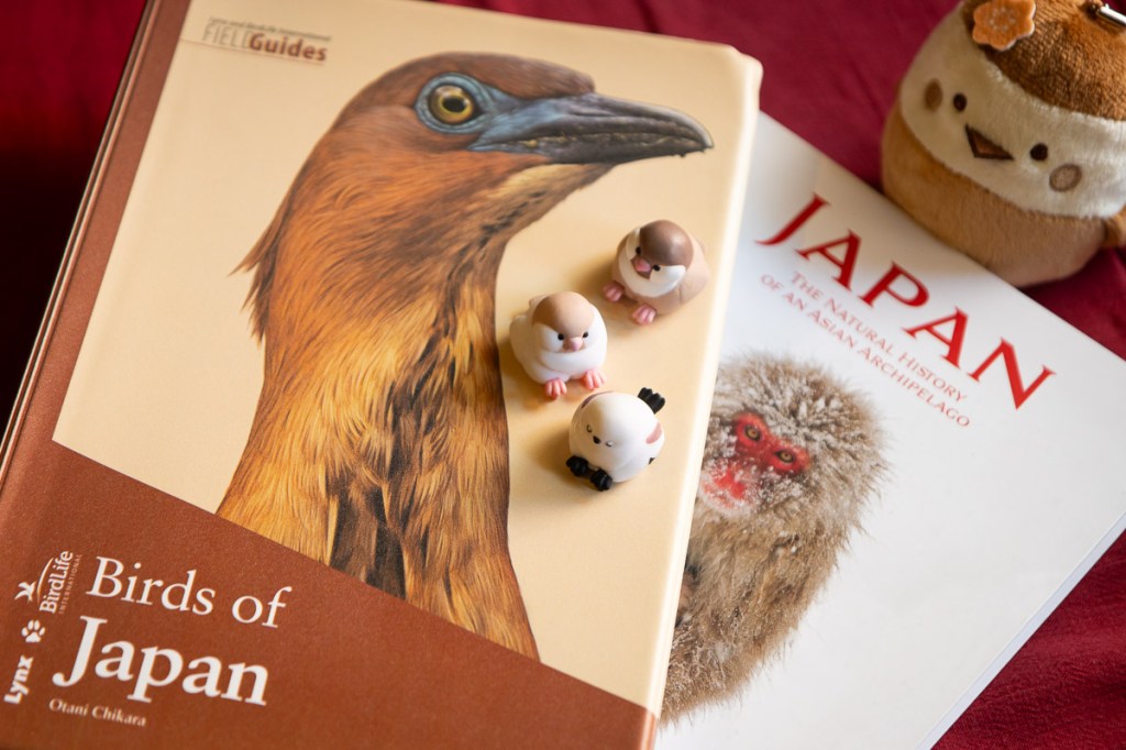 ¡A Japón! 「1ª&nbsp;temporada」