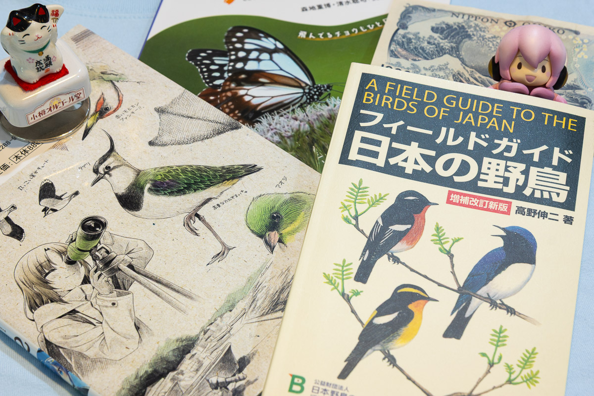 ¡A Japón! 「2ª temporada」