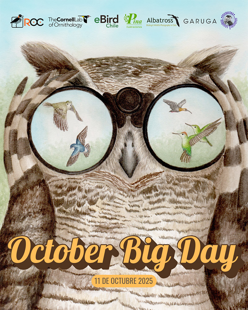 Afiche October Big Day 2025